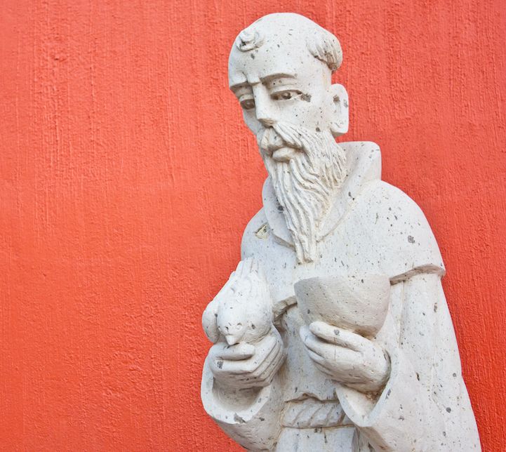 Dog Spelled Backward